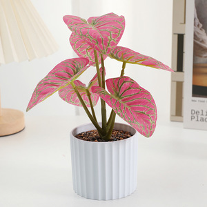 Mini Planta Artificial de Caladium en Maceta, Hojas Multicolor Variadas en Forma de Corazón, Decoración para Mesa, Hogar, Cafetería, Escritorio, Venta al por Mayor - Product Image 4