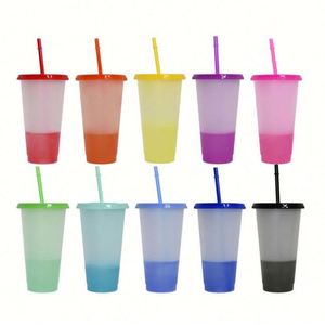Gobelet en plastique réutilisable de 24 oz avec couvercle et paille, idéal pour les fêtes, vente en gros - Product Image 1