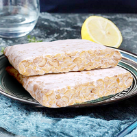 Kemasan jumlah besar Tempe kedelai Premium, alternatif daging Vegan berbasis tanaman Protein tinggi, makanan beku