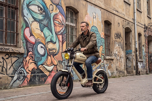 실리 스포츠 48v 750w 19.2ah 빈티지 전기 트래커 전기 자전거 레트로 스팀 펑크 레트로 전기 자전거 - Product Image 6