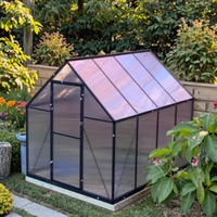 Serre extérieure portable moderne en aluminium avec panneaux en polycarbonate pour la maison jardin fleur plante jardinage espace de relaxation