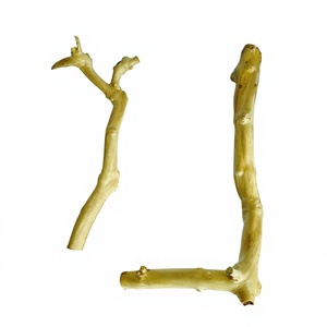 Ramas de Madera Natural para Decoración de Terrarios de Reptiles, Adorno Ecológico para Mascotas Hecho en Vietnam - Product Image 1