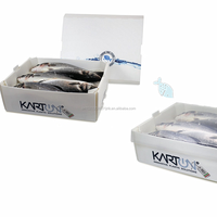 Conteneur de transport en PP ondulé pour fruits de mer, caisse en plastique Corflute pour crevettes, boîte de stockage logistique, emballages pour poissons congelés