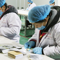 Produits très demandés : Patchs détoxifiants pour les pieds à base de plantes, améliorent la qualité du sommeil, détoxifient votre corps, plâtre japonais