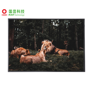 Modulo <span class=keywords><strong>LCD</strong></span> TFT IPS K&D da <span class=keywords><strong>5</strong></span> Pollici 800x480 Interfaccia RGB LVDS 1000cd <span class=keywords><strong>Display</strong></span> Industriale Touch Capacitivo Interfaccia <span class=keywords><strong>I2C</strong></span> Superficie AG LED - Product Image 5