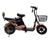 Sepeda Motor Listrik dan Motor Listrik Roda Dua Kecepatan Tinggi Laris Manis