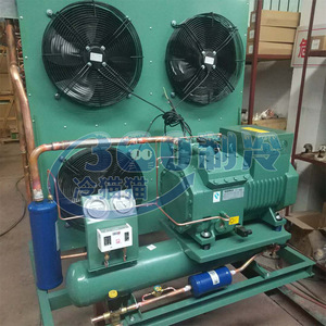 เครื่องทำความเย็นบิทเซอร์ 9 แรงม้า รุ่น 4Ces-9 ระบายความร้อนด้วยอากาศ Jzbf09m ระบายความร้อนด้วยน้ำ Jzbs09m สำหรับการเก็บรักษาผักอุณหภูมิปานกลาง - Product Image 4