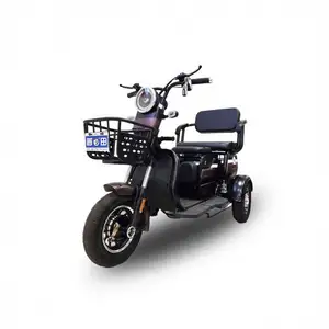 Scooter de mobilité électrique pour tricycle de loisirs Trike