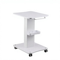 Chariot de Salon de Beauté Portable Amélioré à 4 Niveaux avec Éclairage d'Appoint pour Services Professionnels Multi-Scénarios