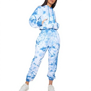Ensemble de jogging pour femme en molleton bleu uni respirant, coupe décontractée, 2 pièces, vêtements de sport à manches longues, short d'hiver - Product Image 1