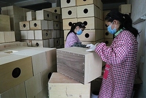 Tambour carrée en bois, Instrument de musique chinois haut de gamme, vente en gros - Product Image 4