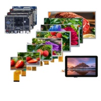 OEM TFT LCD 4.3 5 5.5 7 8 9 10.1 pouces Mipi MCU RGB petits modules d'affichage à écran tactile LCD Ips