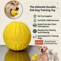 Balle d'entraînement en mousse EVA texturée pour aider les chiots pendant la période de dentition, jouets à mâcher pour animaux de compagnie pour toutes les races de chiens