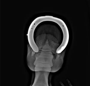 Equino rilevatore a schermo piatto Iray cavallo uso Wireless digitale schermo piatto Dr <span class=keywords><strong>Cr</strong></span> sistema veterinaria Xray Machine - Product Image 6