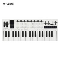 SMK-37 PRO 37-Key Portable MIDI Keyboard Controller with Audio Source Foldable Plastic Arranger