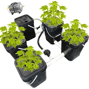 RDWC and with Water Pump and Air Pump Clone Bucket Hydroponics System 4/6/8/10/24 Buckets Custom Made