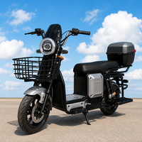 Moto tout-terrain électrique 1000W avec phare LED pour la conduite nocturne