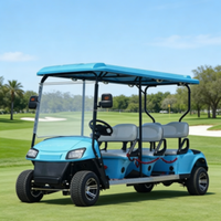 Voiturette de golf électrique économique 4 places, directement de l'usine, universelle multi-scènes pour la communauté, le campus, les trajets courts et les déplacements en dune