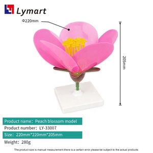 Nuovo arrivo 3d modello educativo fiore di pesco per <span class=keywords><strong>botanica</strong></span> - Product Image 4