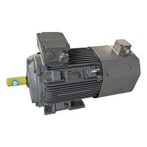 이노모틱스 지멘스 6 극 1LE0003-1DC23-3A4-Z 380V 삼상 50Hz 주파수 변환 AC 모터 제품 유형 IC416 - Product Image 1