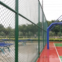Clôture en treillis soudé galvanisé à mailles losangées avec revêtement PVC pour poulailler, jardin, balcon et sécurité