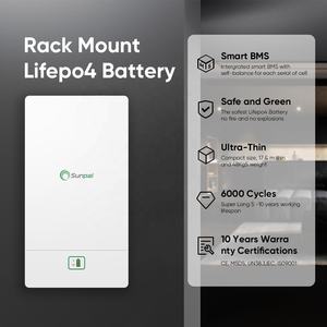 순팔 리튬 배터리 <span class=keywords><strong>Lifepo4</strong></span> <span class=keywords><strong>48V</strong></span> 200Ah 51.2V 15Kwh 배터리 리티오 <span class=keywords><strong>Lifepo4</strong></span> 리튬 배터리 - Product Image 3