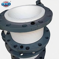 Juntas de Expansión de Ductos de PTFE para Relajación, Conexión de Bridas, Baja Presión, Resistentes a Químicos y a la Corrosión, para Pintura y Energía