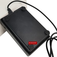 Pédale de sustain d'orgue électronique de 3.5mm, accessoire universel à double pédale pour instruments à clavier, supports de musique, vente en gros