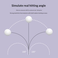 Table de ping-pong en bois avec manche souple élastique, dispositif d'entraînement interactif parent-enfant, jouets de sport d'extérieur