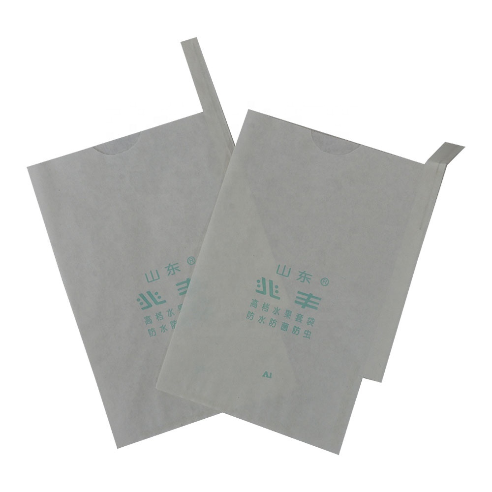 Granada (guayaba) bolsa de papel de protección bolsa fruta bolsa de papel