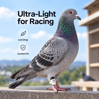 Mini traceur GPS pour pigeon, 2,2 g, capsule en plastique ultra-légère, localisateur d'oiseaux en temps réel, étanche IP67, stockage cloud 4G/5G, 30 jours