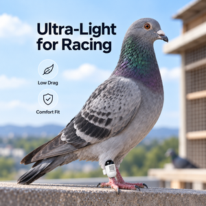 Mini Rastreador GPS para Palomas, 2.2g, Cápsula de Plástico Ultraligera, Localizador de Aves <span class=keywords><strong>en</strong></span> Tiempo Real, IP67 Impermeable, Almacenamiento <span class=keywords><strong>en</strong></span> la Nube 4G/5G, 30 Días - Product Image 2