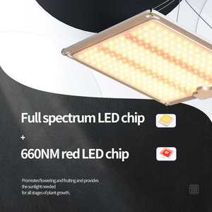 <span class=keywords><strong>Lampe</strong></span> <span class=keywords><strong>horticole</strong></span> de <span class=keywords><strong>croissance</strong></span> <span class=keywords><strong>LED</strong></span>, 3x3 pieds, spectre complet, éclairage pour culture intérieure de plantes végétation/<span class=keywords><strong>floraison</strong></span> - Product Image 3