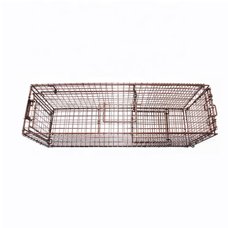 Piège à pigeons pliable personnalisé Cage de capture carrée pour la chasse aux animaux Colle antiparasitaire Source d'alimentation Rats Autres parasites Gel américain