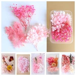 <span class=keywords><strong>Flores</strong></span> Secas Prensadas DIY para Artesanías con <span class=keywords><strong>Flores</strong></span> <span class=keywords><strong>Preservadas</strong></span> Mixtas, Velas, Resina, Joyería, Uñas, Colgantes, Tarjetas, Bodas - Product Image 3