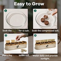Kit d'arbre bonsaï en bois de style moderne pour fournitures de jardin