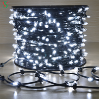 100m 1000leds 12V LED Fee Clip String Lichter für Outdoor Weihnachten Baum Dekorationen