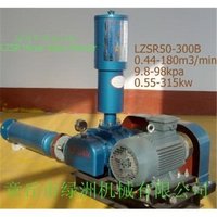 Usine de transformation alimentaire Transport de farine Transport pneumatique Transport transport de racines souffleur de traitement de l'eau à haute pression souffleur d'air 1 AN