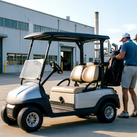 Hotel-Shuttle Elektro-Golfwagen für 2 Personen Besichtigungsfahrzeug mit Rücksitz-Kit für Resorts und Parks