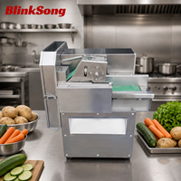 Coupe-légumes électrique commercial BlinkSong en acier inoxydable pour restaurant, cuisine, trancheuse à pommes de terre et carottes