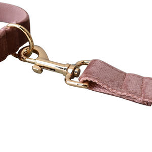 Collar de nailon recubierto resistente a roturas para perro, correa ajustable de entrenamiento para caminar, Collar de <span class=keywords><strong>terciopelo</strong></span> para perro, <span class=keywords><strong>Amazon</strong></span> - Product Image 5