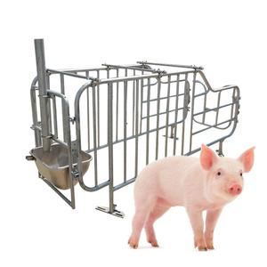 Système de cages Hengyin pour l'élevage : Cages de maternité pour truies - Product Image 6