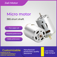 Moteur CC RS-385 à couple élevé 6V 12V 24V, micro-moteur à balais en carbone haute vitesse 10000 tr/min pour sèche-cheveux et pompe à vide, conforme RoHS