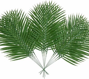 Foglie e Steli di Palma Artificiali Durevoli SPR per Feste a Tema Hawaiano, <span class=keywords><strong>Luau</strong></span> e Spiaggia nella Giungla - Product Image 4