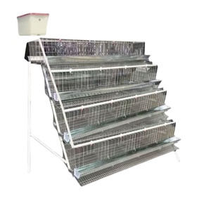 Jaula Especial de Calidad para Cría: Equipos para Granjas Avícolas para Uso en Gallineros - Product Image 2