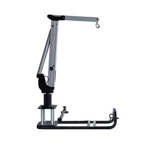 ऑस्ट्रेलियाई बाजार गर्म बिक्री के सुव और वाहन ट्रंक उठाने वाले क्रेन 40-60 किलोग्राम भार क्षमता ओएम/ओडम स्वीकार BZ-DJ60 - Product Image 4