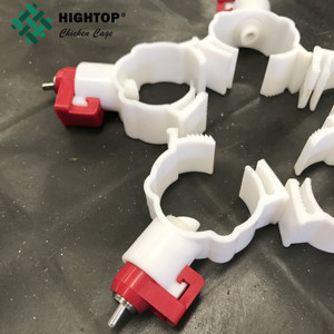 Hot Bán Một Loại Kích Thước 10000 Chim Gà Trứng Đẻ Pin Gà Lớp Lồng Cho Gia Cầm Nông Nghiệp Thương Hiệu Điều Kiện Mới - Product Image 5