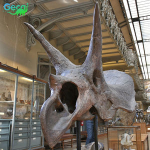 Gecai Venta de Fósiles de Dinosaurio T-Rex, Cabeza de Dinosaurio Artificial de Resina, Tamaño Real, en Venta - Product Image 3