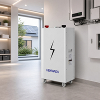 Système de stockage d'énergie solaire résidentiel 14,33 kWh, batterie LiFePO4 51,2 V 280 Ah 300 Ah, sur pied avec BMS à distance pour l'énergie domestique