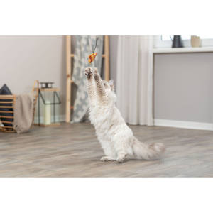 Baguette de jeu pour poissons, jouet interactif de 46 cm pour chats, jouet pour animaux de compagnie - Product Image 5